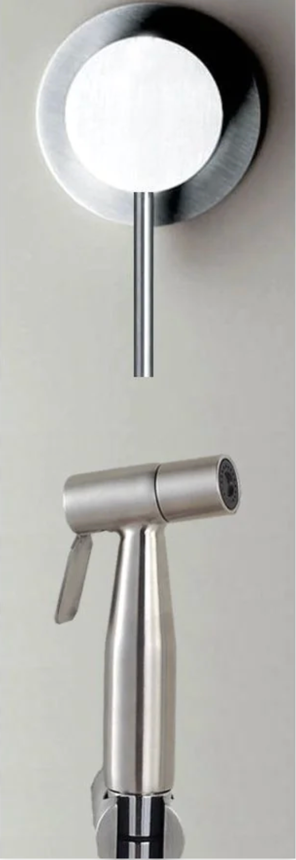 Einbau-WC-Duschgarnitur aus Edelstahl (Warmwasser)